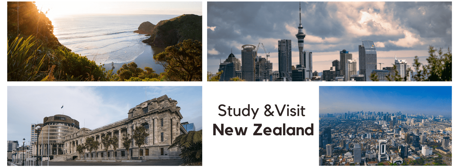 Study in New Zealand: Colleges, Eligibility & Scholarships | Overseas Education