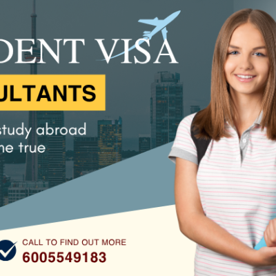 6 Things Top Student Visa Consultants Do Approvals Particularly for 2026
